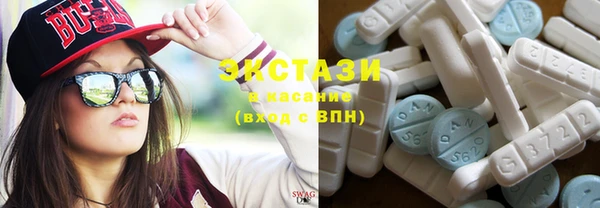 гашик Алексин