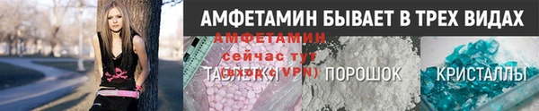гашик Алексин