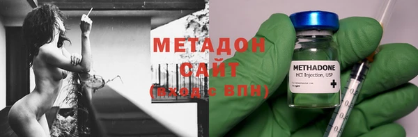 гашик Алексин