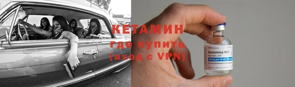 гашик Алексин