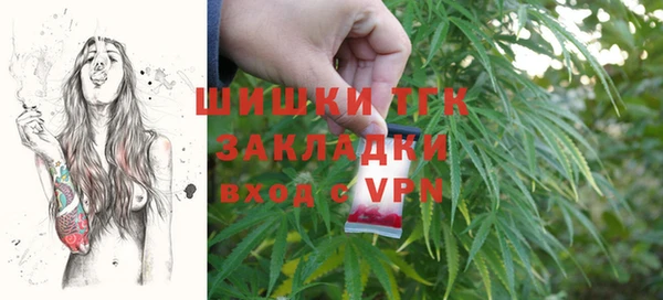 гашик Алексин