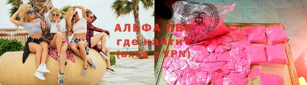 гашик Алексин