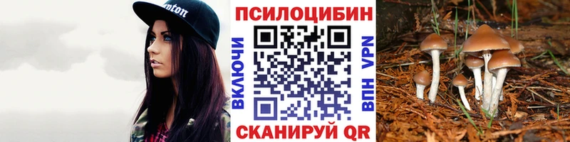 наркота  Салехард  Псилоцибиновые грибы Cubensis 